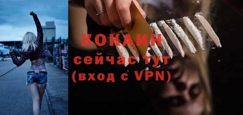 Cocaine Fish Scale  наркошоп  Сосновоборск 